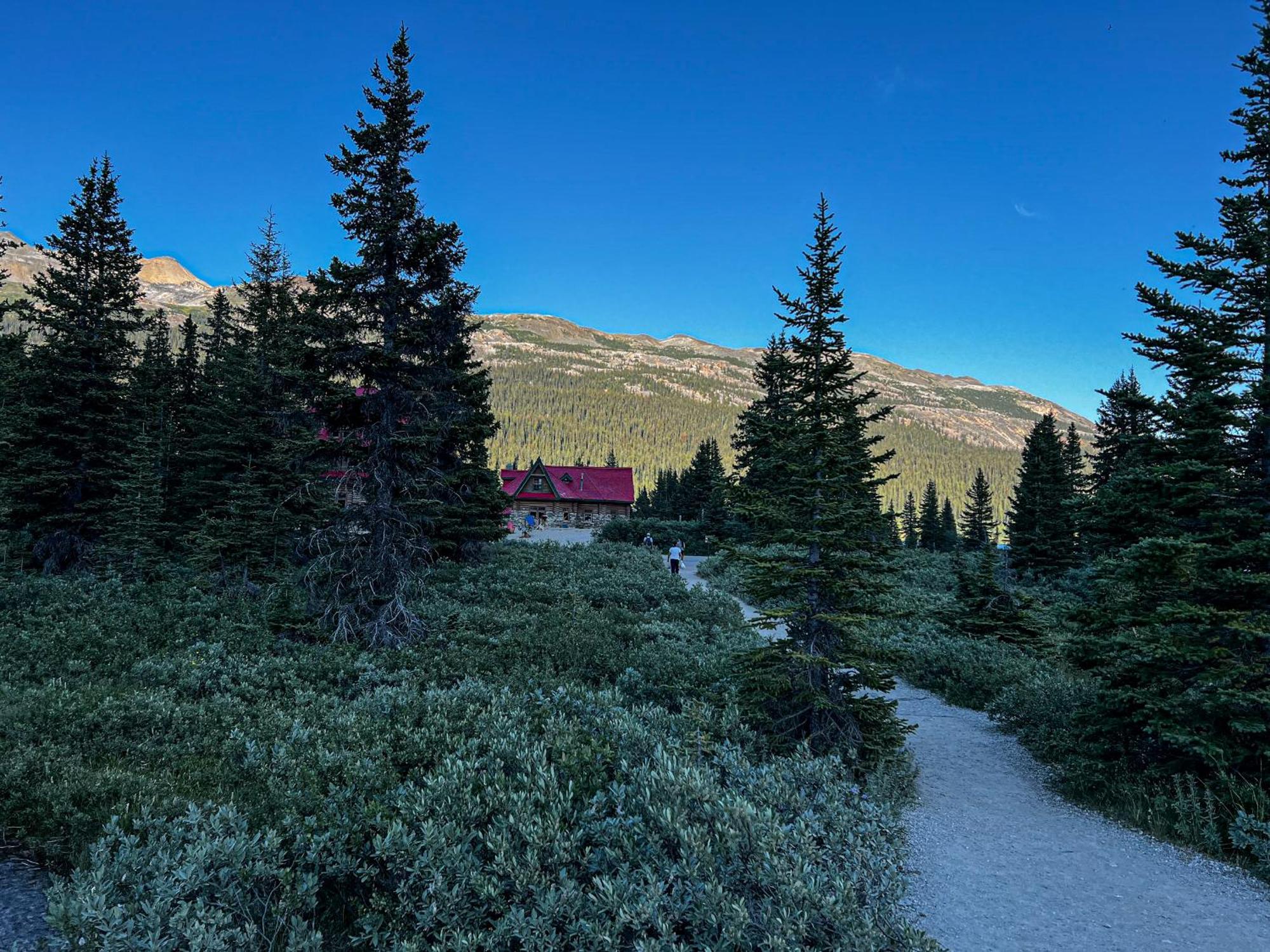 The Lodge At Bow Lake Lake Louise Luaran gambar