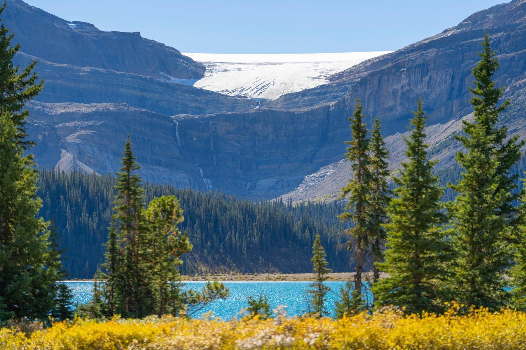 The Lodge At Bow Lake Lake Louise Luaran gambar