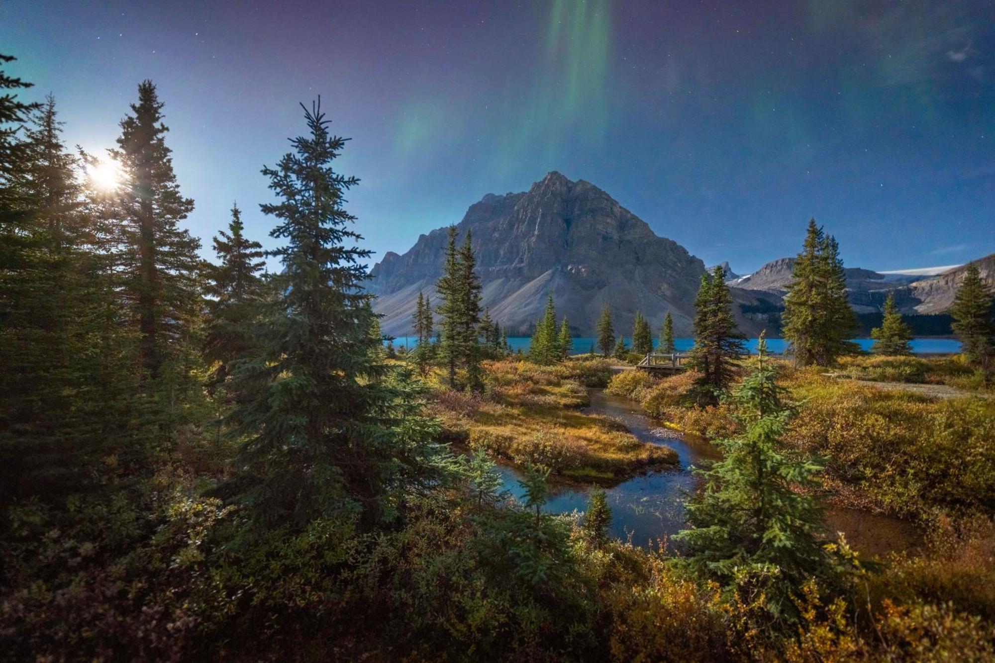 The Lodge At Bow Lake Lake Louise Luaran gambar